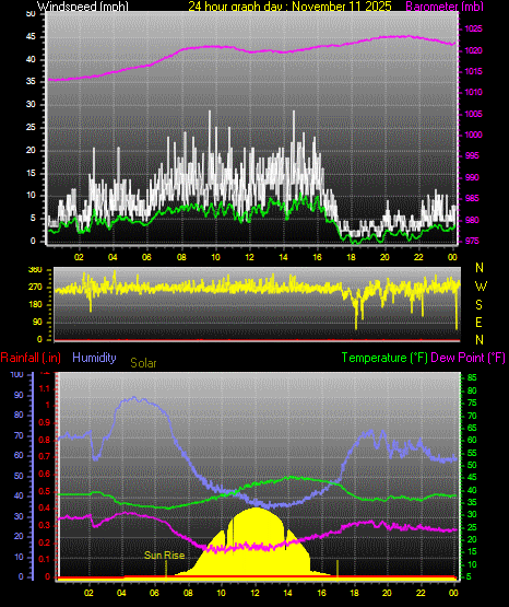 24 Hour Graph for Day 11