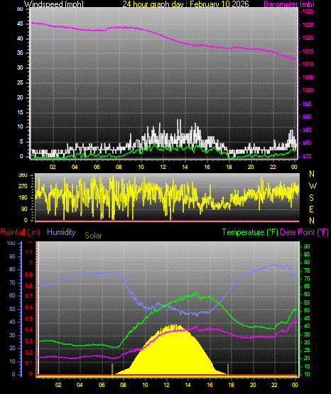 24 Hour Graph for Day 10